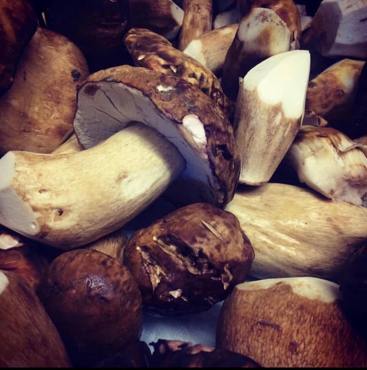 Tartufo ed eccellenze italiane  - piatto 2